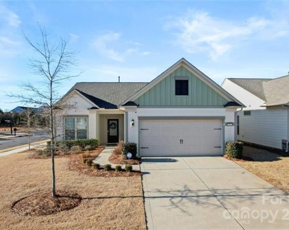 805 Birdsong  Way, Fort Mill