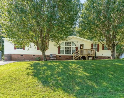 4694 Iron Weed Drive, McLeansville
