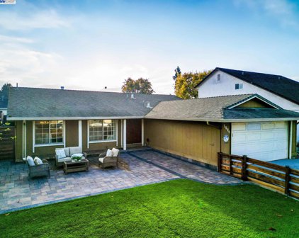 3080 San Andreas Dr, Union City