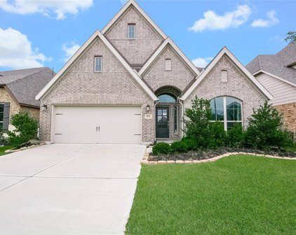 24231 Via Vitani Drive, Richmond