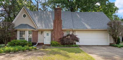 6299 Cherokee Drive, Olive Branch