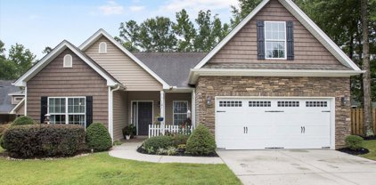 6 Leland Cypress Court, Simpsonville