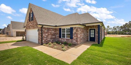 8668 Hayes Drive, Southaven