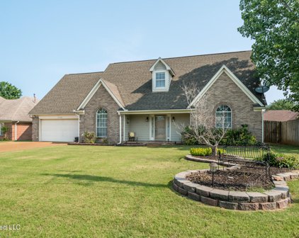 13122 Claybourne Cove, Olive Branch