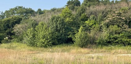 Tr 3A1 3A2 Springfield Rd, Bardstown
