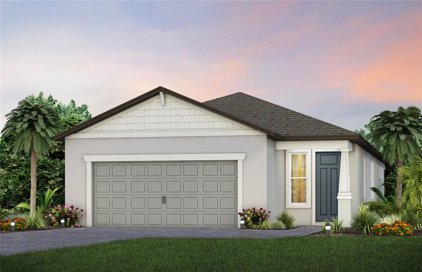 6099 Shorebird Branch, Land O' Lakes