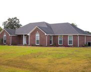 14907 Hannah Walk, Harvest image