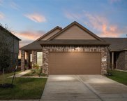 18314 Willow Bud Trail, Tomball image