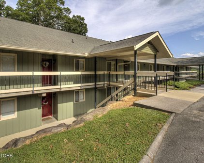 520 Briarcliff Way Unit 110, Pigeon Forge