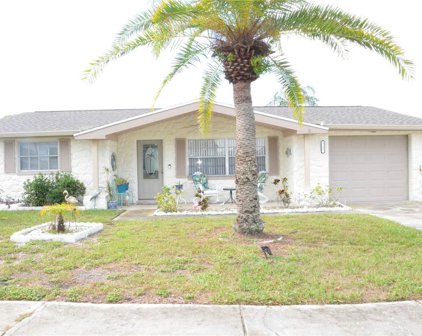 1183 Fernwood Drive, Holiday