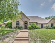 1909 Wolverine Trail, Harker Heights image