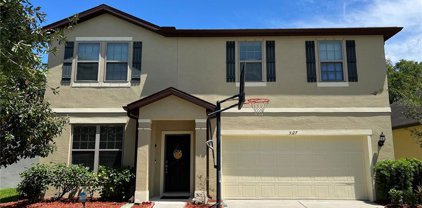 3127 Winglewood Circle, Lutz