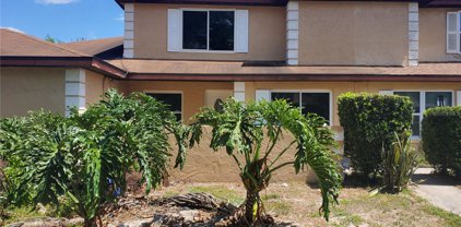 1067 Sophie Boulevard, Orlando