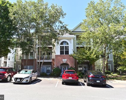 1516 N Point Dr Unit #303, Reston