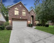 14 Sprite Woods Place, The Woodlands image