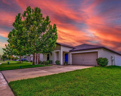 14113 Covert Green Place, Riverview