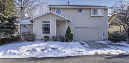 1908 Mountain Vista Way, Reno