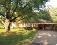 130 Diane, Rayville image