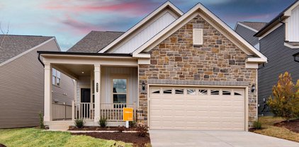 6872 Moonstone Peony Ln, Haymarket