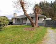 12374 Davison Street, Maple Ridge image