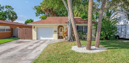 207 S Occident Street, Tampa