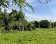 29064 Mellman Road, Hempstead image