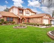 12318 Autumn Vista St, San Antonio image