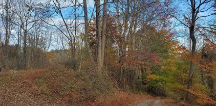 999 Buck Scrape  Road, Marshall