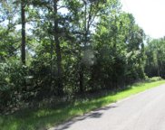 71 Prescott Drive, New Waverly image