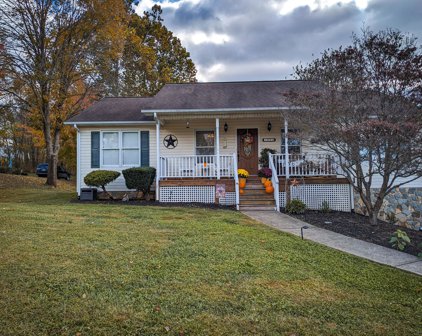 195 Little Mountain  Cir, Rocky Mount