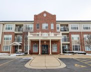 12950 Meadow View Court Unit #203, Huntley image
