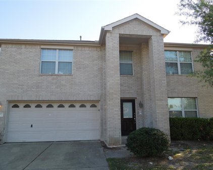 18202 Cole Bridge Court, Cypress