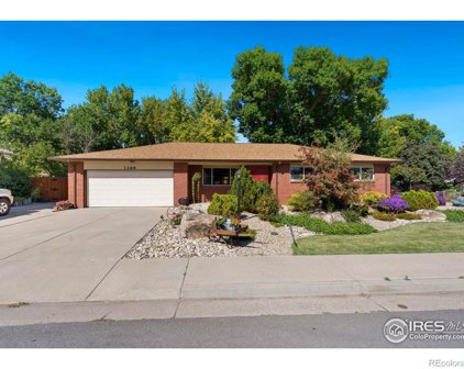 1269 Tupelo Drive, Loveland