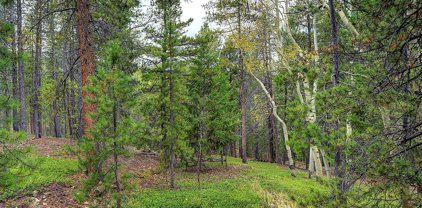 8431 London Lane, Conifer