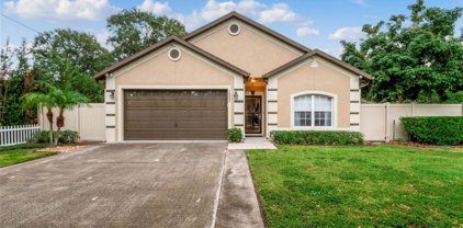 1557 Blackwood Avenue, Gotha