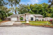 14963 Old Pointe Road, Tampa image