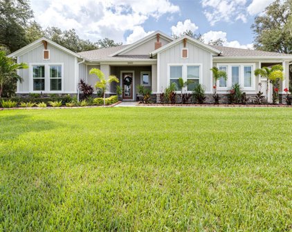 19865 Sambar Deer Loop, Lutz