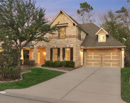 10 Golden Orchard Place, The Woodlands