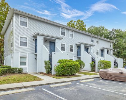 7167 E Bank Drive Unit 2002, Tampa