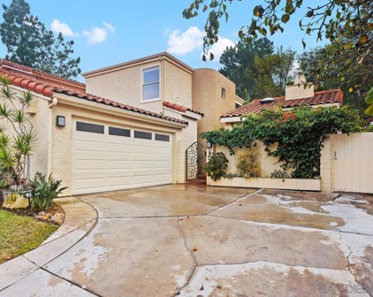 13902 Mango, Del Mar