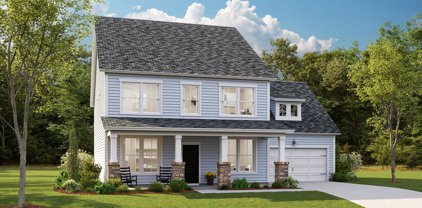 1206 Spotflower Street, Summerville
