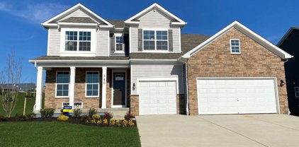 722 Starry Night Dr, Westminster
