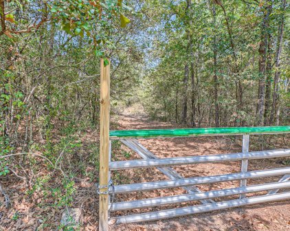 24728 Shady Oaks Boulevard, Montgomery