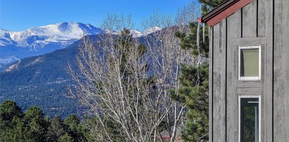 23976 Currant Drive, Golden