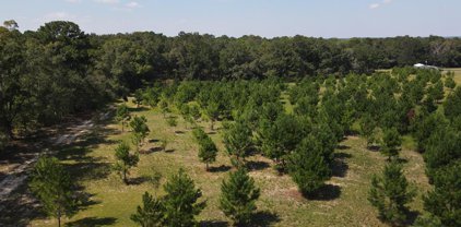 1454 Middleton Road, Dothan