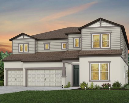 14133 Samoa Hill Court, Riverview