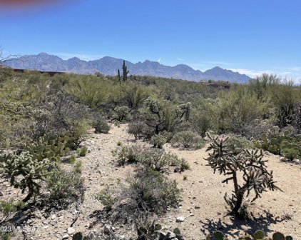 534 E Dusty View Unit #50, Oro Valley