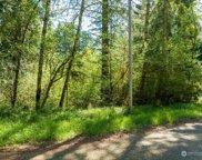 10515 Edgewood Drive, Anderson Island image
