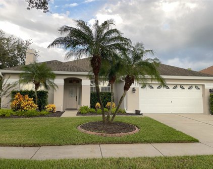 10303 Abbotsford Drive, Tampa