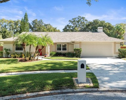 16917 Cedar Bluff Drive, Tampa